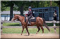 4H-Fun-Show-060912-465.JPG