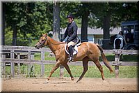 4H-Fun-Show-060912-467.JPG