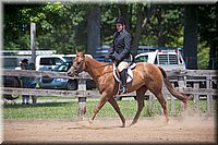 4H-Fun-Show-060912-468.JPG