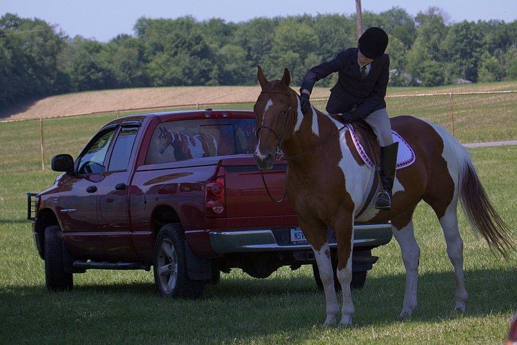 4H-Fun-Show-060912-449.JPG