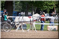 Pleasure-Pony-Driving