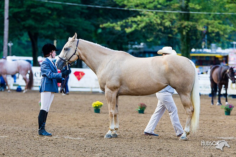 4H-Distr-090912-1173.jpg