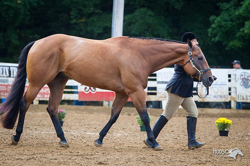 4H-Distr-090912-1178.jpg