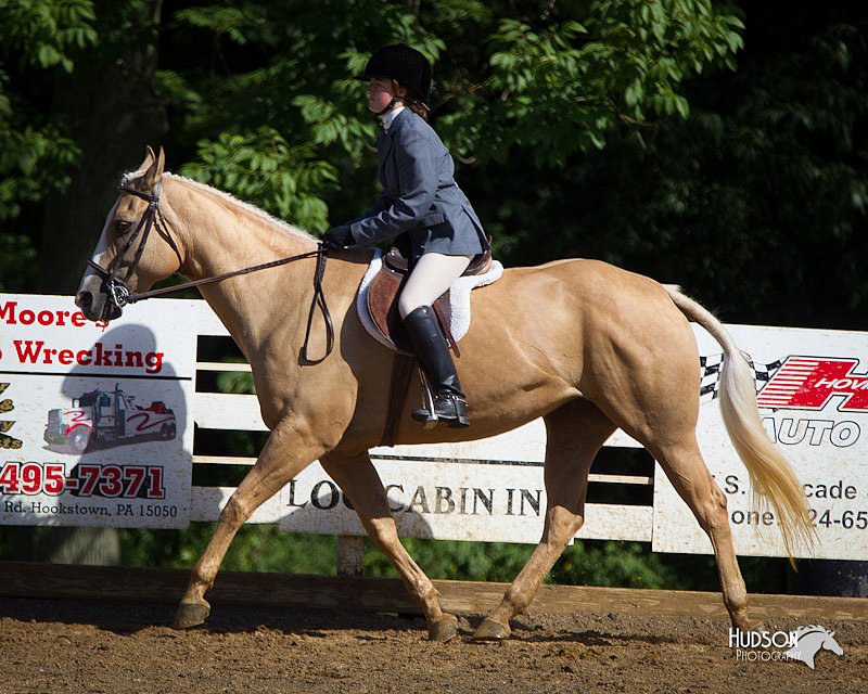 4H-Distr-090912-1537.jpg