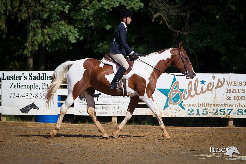 4H-Distr-090912-1556.jpg