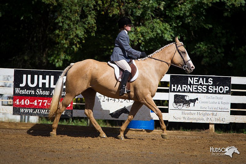4H-Distr-090912-1559.jpg