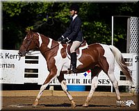 4H-Distr-090912-1539.jpg
