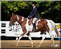 4H-Distr-090912-1547.jpg
