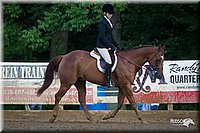 4H-Distr-090912-1625.jpg
