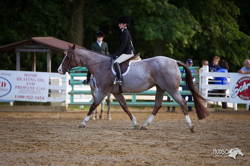 4H-Distr-090912-1754.jpg