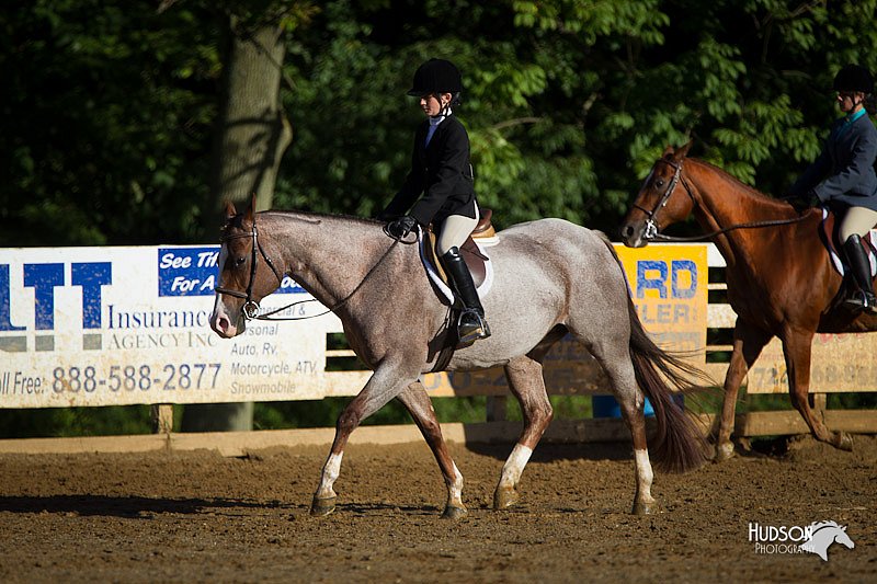 4H-Distr-090912-1776.jpg