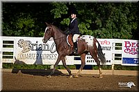 4H-Distr-090912-1763.jpg