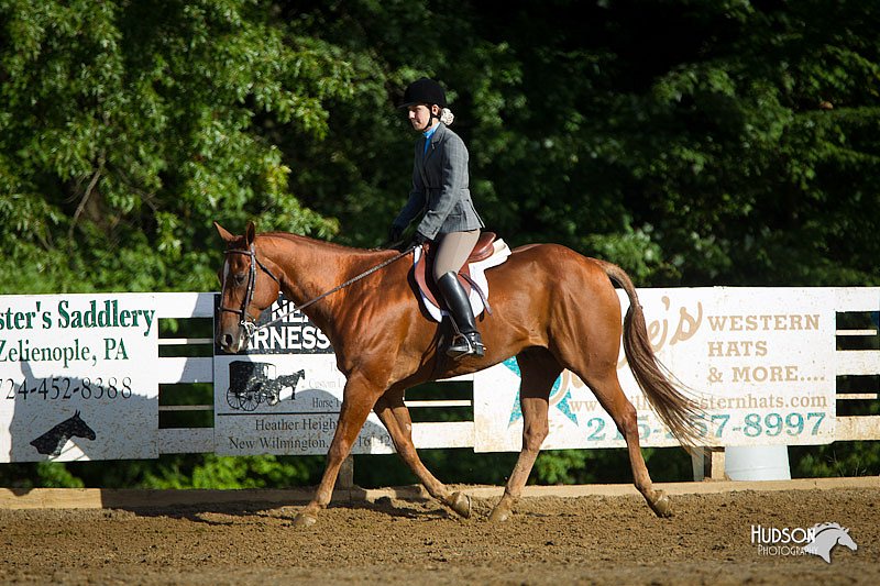 4H-Distr-090912-1702.jpg
