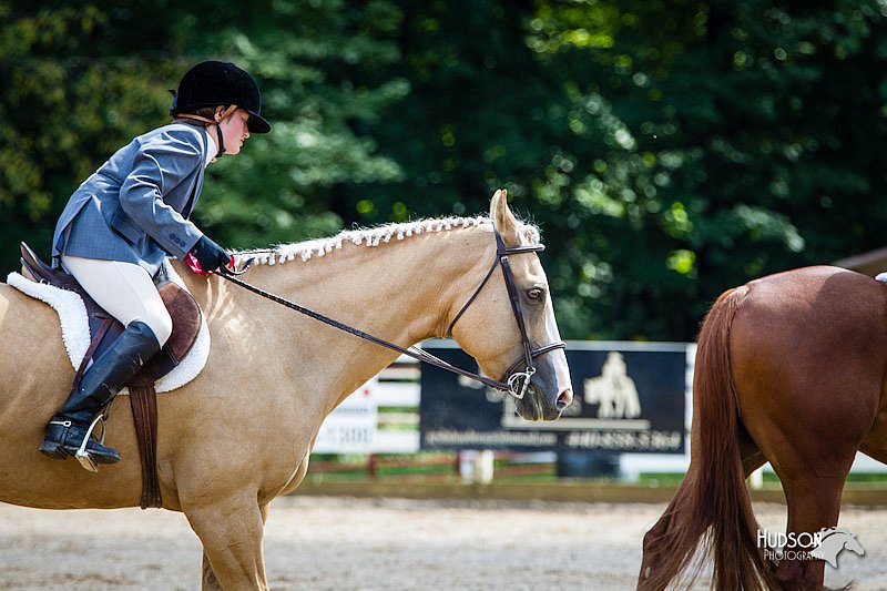 4H-Distr-090912-1405.jpg