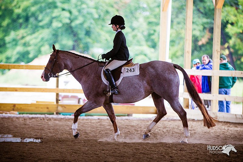 4H-Distr-090812-0727.jpg