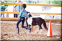 4H-Distr-090812-0849.jpg