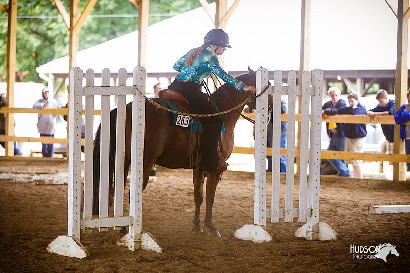 4H-Distr-090812-0810.jpg