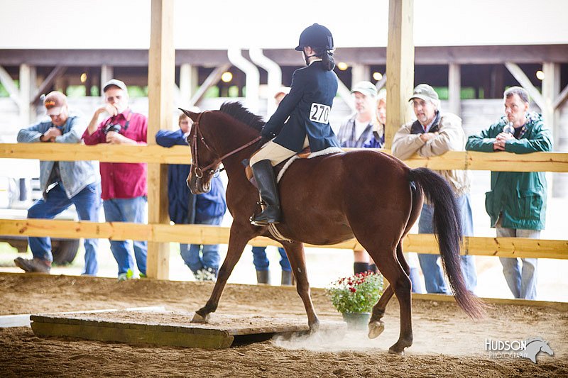 4H-Distr-090812-0818.jpg