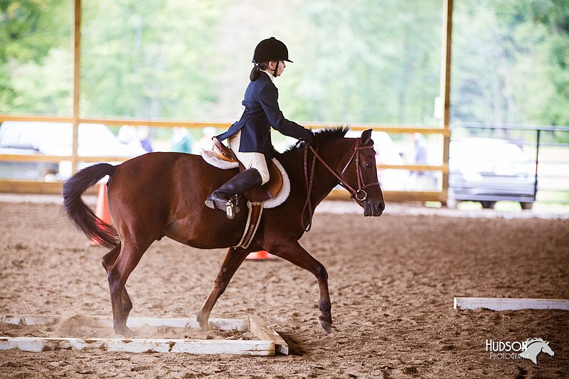4H-Distr-090812-0832.jpg