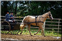 4H-Distr-090912-1329.jpg