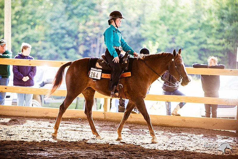 4H-Distr-090812-0955.jpg