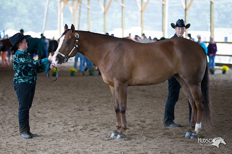 4H-Distr-090812-0493.jpg