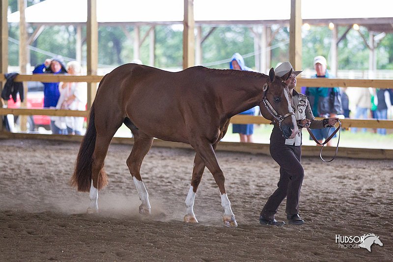 4H-Distr-090812-0446.jpg