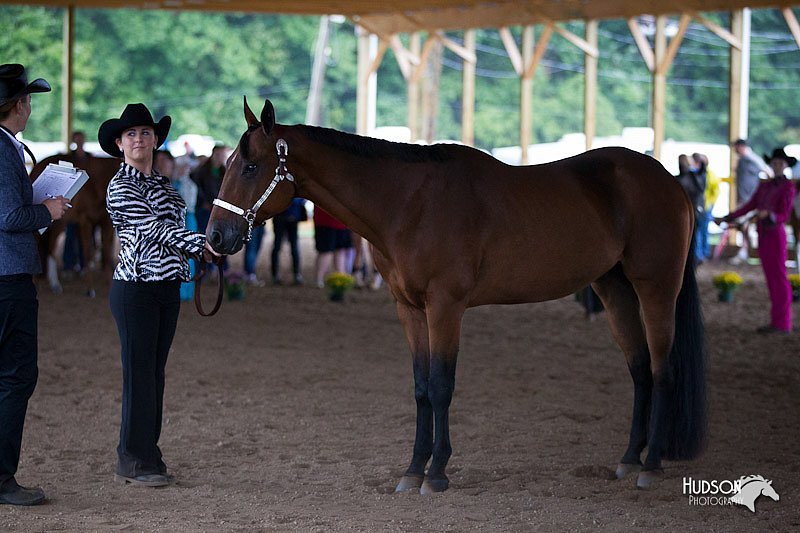4H-Distr-090812-0474.jpg