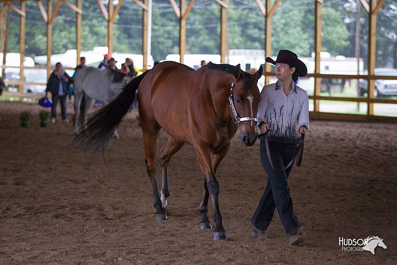 4H-Distr-090812-0483.jpg