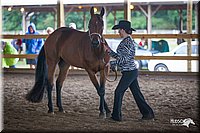4H-Distr-090812-0470.jpg