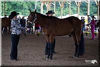 4H-Distr-090812-0473.jpg