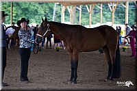 4H-Distr-090812-0474.jpg