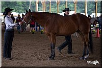 4H-Distr-090812-0481.jpg