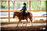 WT-Western-Equitation-Pony