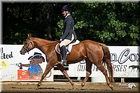 WT-English-Equitation-Pony