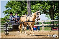4H-1st-062312-0761.jpg