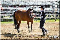 4H-1st-062312-0610.jpg