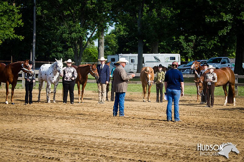 4H-1st-062312-0595.jpg
