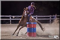 Barrels-Horse-Jr