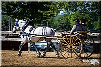 Draft-Horse-Driving