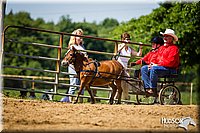 Mini-Horse-Driving-Jr