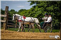 Pleasure-Pony-Driving