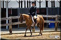 WT-English-Equitation-Pony
