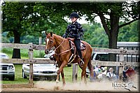 WT-West-Equitation-Horse