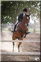 Hunt-Seat-Equitation-Jr-Fences