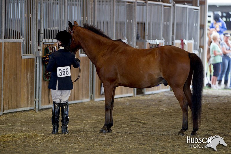 4H-3rd-072812-1087.jpg
