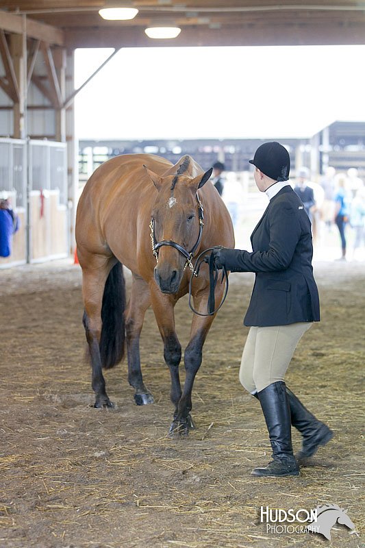 4H-3rd-072812-1027.jpg