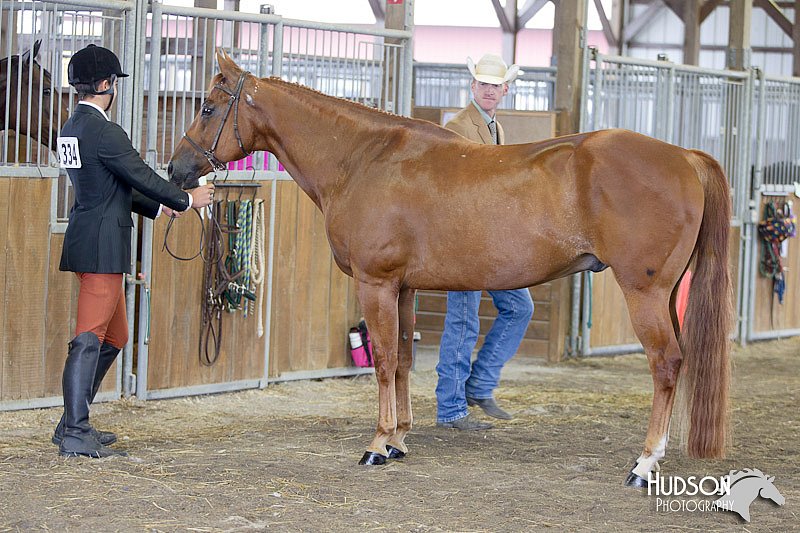 4H-3rd-072812-1035.jpg