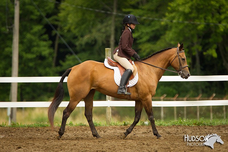 4H-3rd-072812-2100.jpg