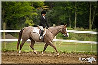 4H-3rd-072812-2095.jpg